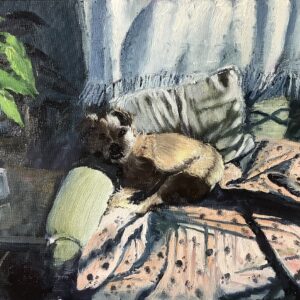 Morning nap - framed - not for sale